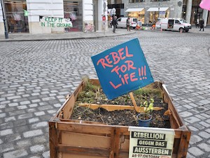 © XR /  Eine Rebellionswelle für das Leben und für rasches Handeln gegen den Klimawandel